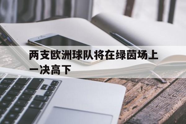 两支欧洲球队将在绿茵场上一决高下